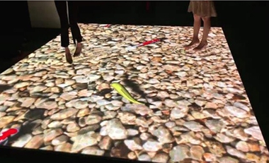 青島活動(dòng)策劃，煙臺(tái)活動(dòng)策劃